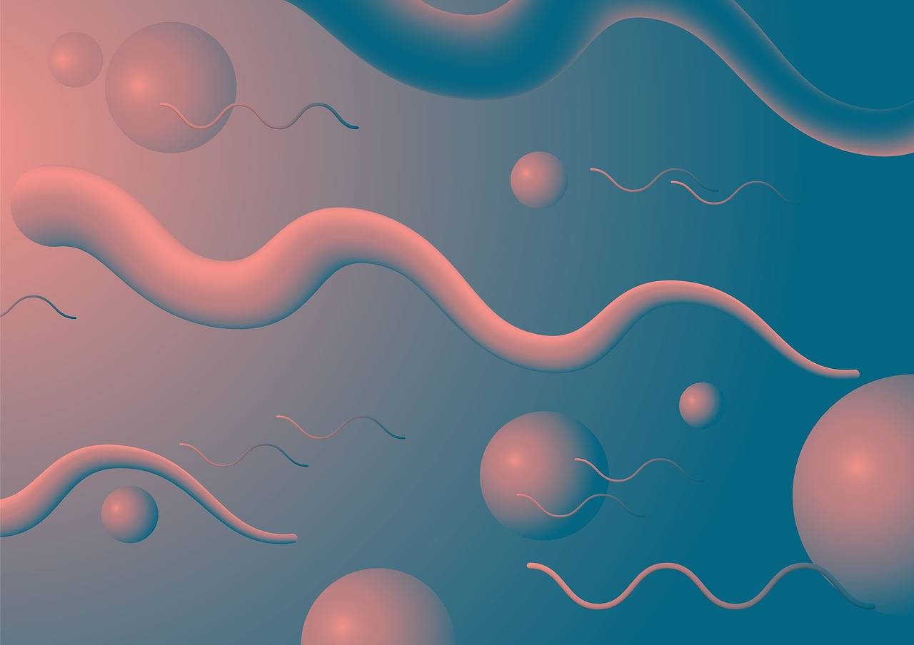 Addressing Classroom Management Challenges