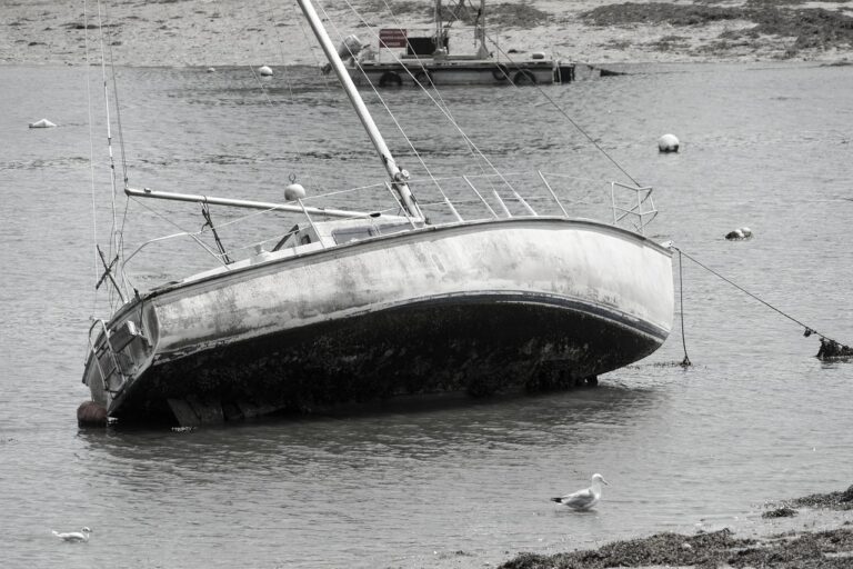 Cricket’s Contribution to Sustainable Infrastructure Development